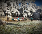 talavan_silvestr_2016_01