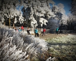 talavan_silvestr_2016_02