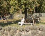 Otevřený seminář Talavan 10/2018