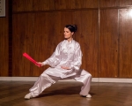 18. výročí Taiji Akademie a čínský nový rok  Vepře