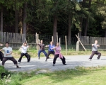 taichi-seminar-talavan-04-05-2016